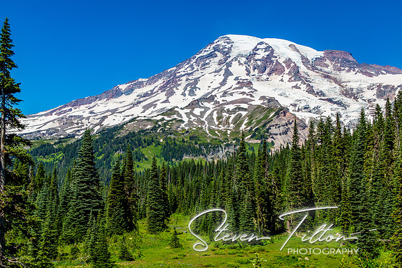 Mount Rainier National Park