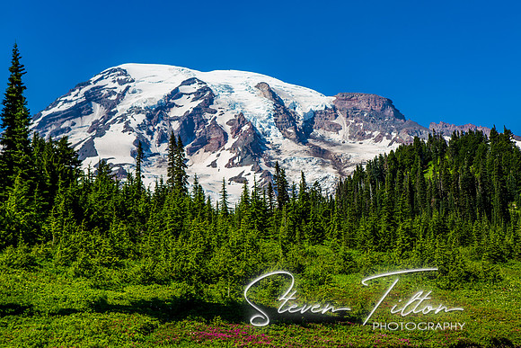 Mount Rainier National Park
