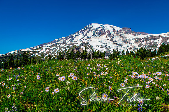 Mount Rainier National Park