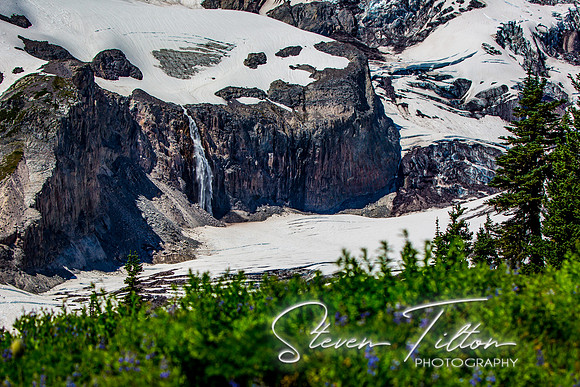 Mount Rainier National Park