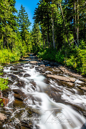 Mount Rainier National Park