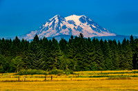 Mount Rainier National Park