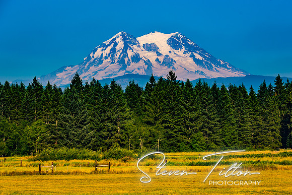 Mount Rainier National Park