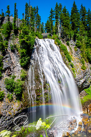 Mount Rainier National Park