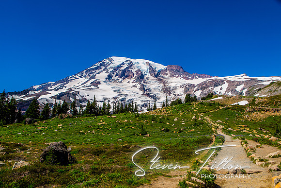 Mount Rainier National Park