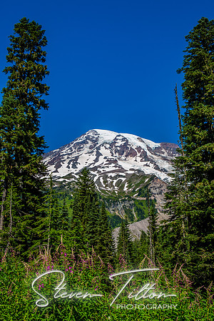 Mount Rainier National Park