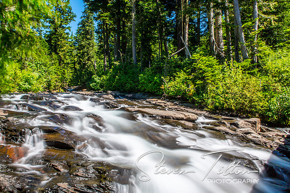 Mount Rainier National Park
