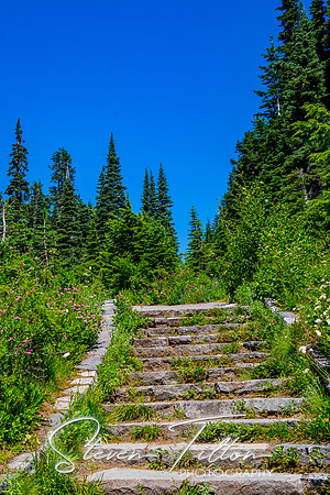 Mount Rainier National Park
