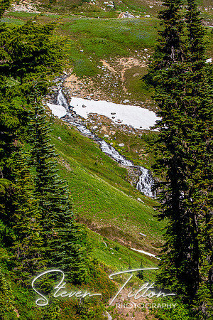 Mount Rainier National Park