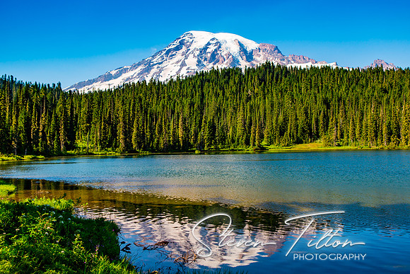 Mount Rainier National Park