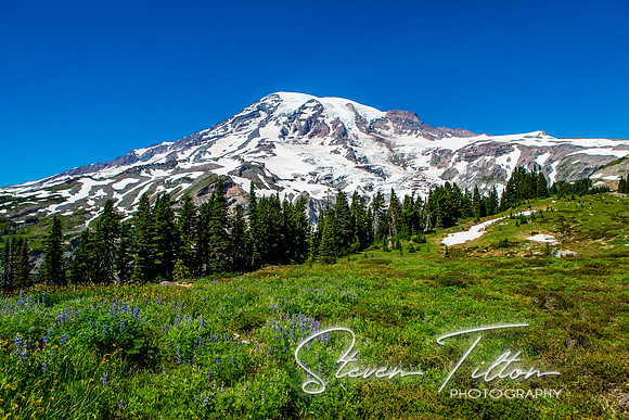 Mount Rainier National Park
