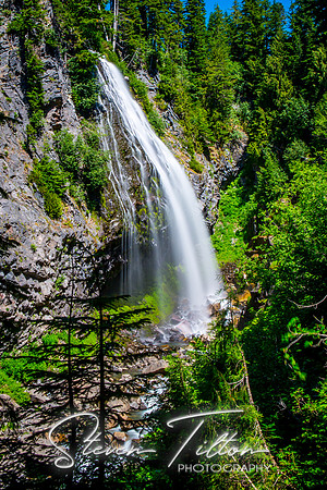 Mount Rainier National Park