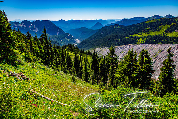 Mount Rainier National Park