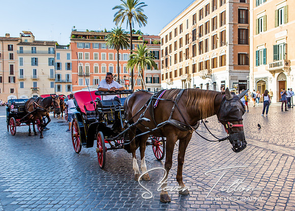 The Spanish Steps