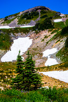 Mount Rainier National Park