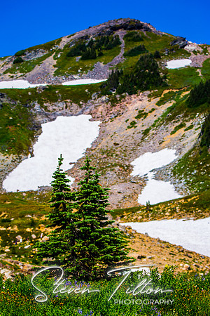 Mount Rainier National Park