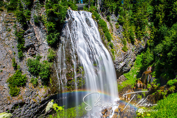 Mount Rainier National Park