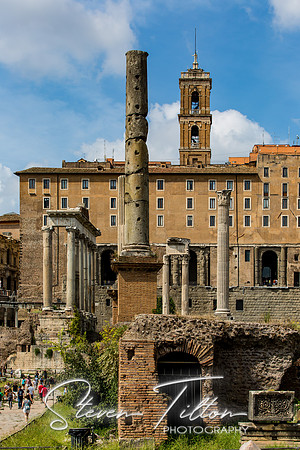 The Roman Forum