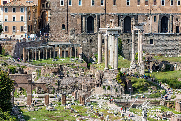 The Roman Forum