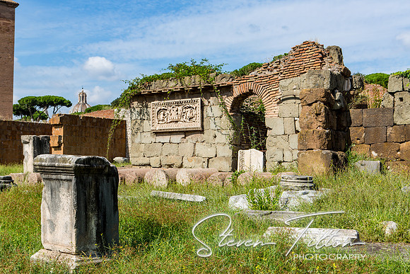The Roman Forum