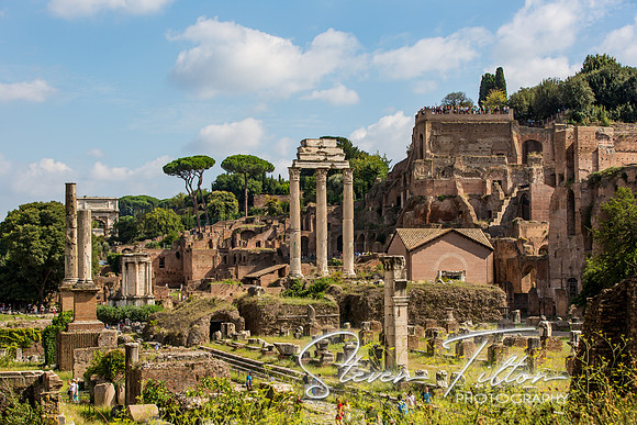 The Roman Forum
