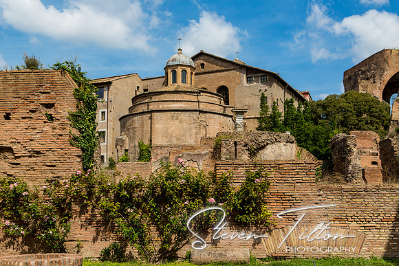 Temple Of Romulus