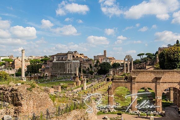 The Roman Forum