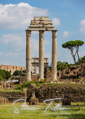 The Roman Forum
