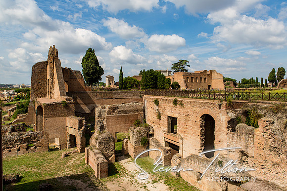 The Roman Forum