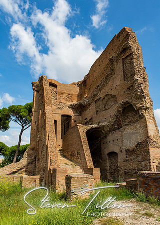 The Roman Forum