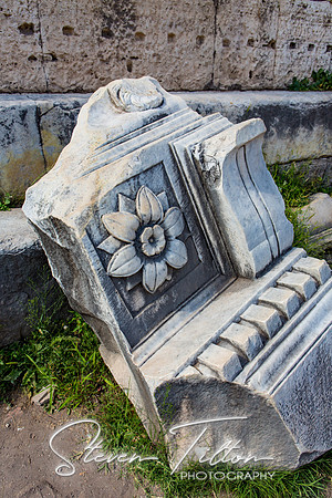 The Roman Forum