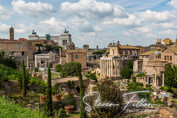 The Roman Forum