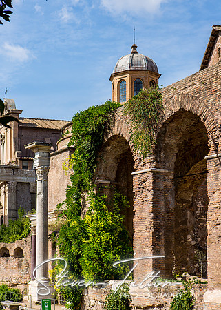 The Roman Forum