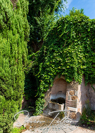 Via San BonaventuraVia San Bonaventura Garden