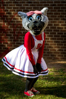 NCSU Wolfpack