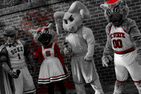 NCSU Wolfpack