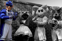 Duke Blue Devil