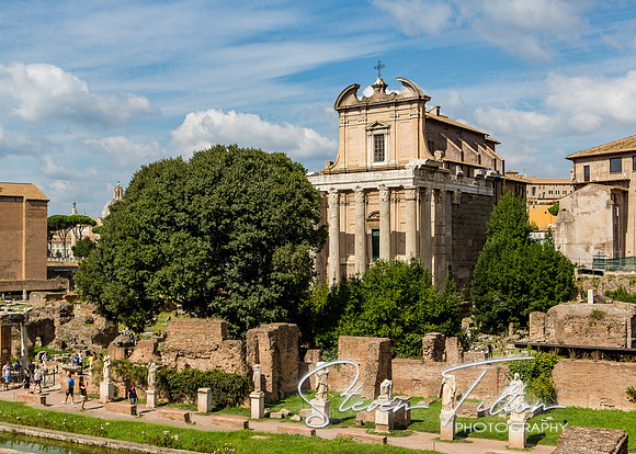The Roman Forum
