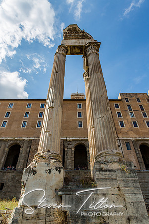 The Roman Forum