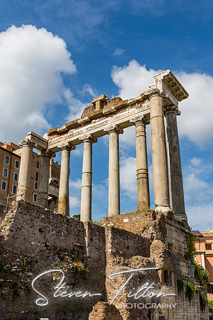 The Roman Forum