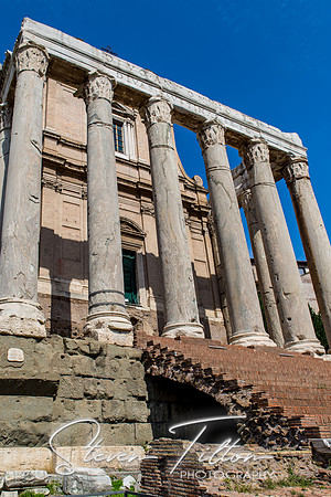 The Roman Forum