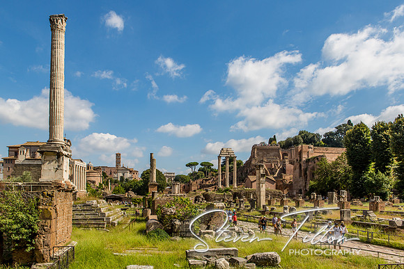 The Roman Forum