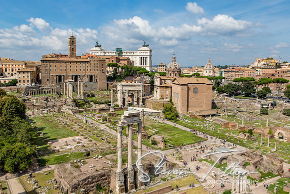 The Roman Forum