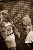 NCSU Wolfpack