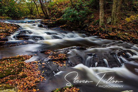 Autumn Mountain Stream