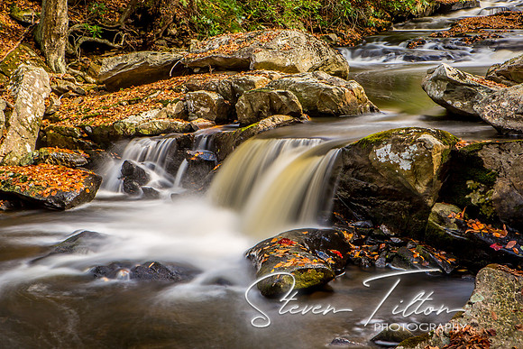 Autumn Mountain Stream