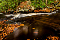 Autumn Mountain Stream
