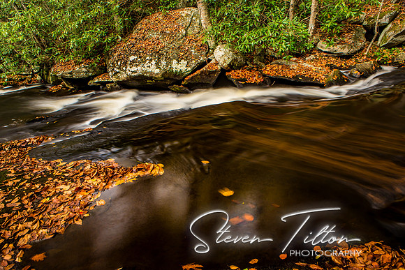 Autumn Mountain Stream