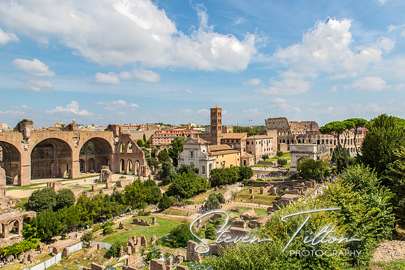 The Roman Forum