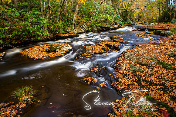 Autumn Mountain Stream
